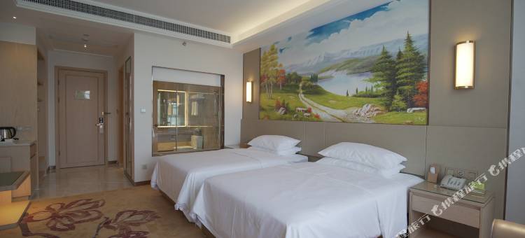 维也纳国际酒店(吴川店)图片