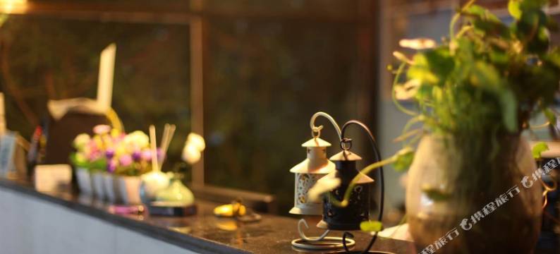 拉萨普林客栈图片