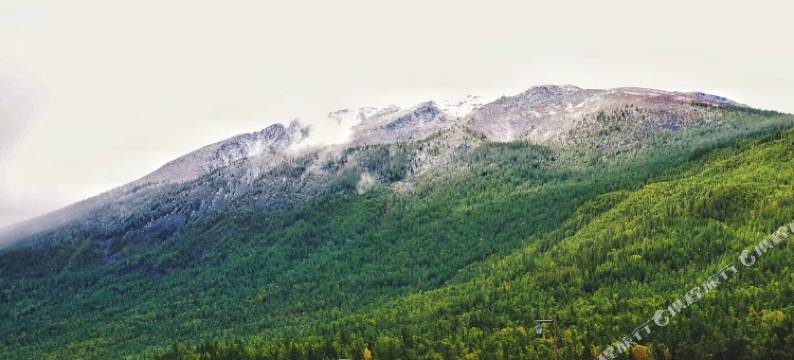 喀纳斯水云山居图片