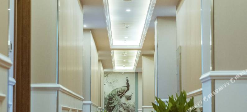 唯漫斯酒店(重庆清明上河坊店)图片