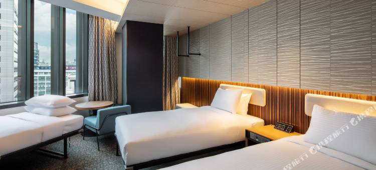 首尔明洞相铁弗雷萨酒店(Sotetsu Fresa Inn Seoul Myeong-Dong)图片