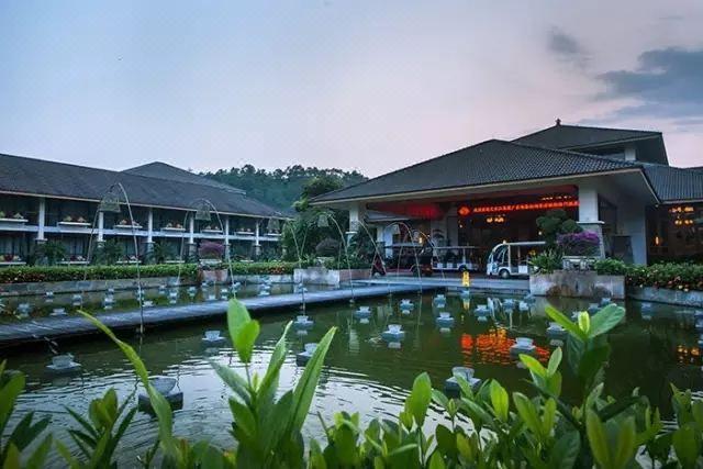 Hotel Overview