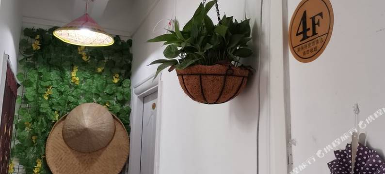 深圳梧桐小筑养生公寓(5号店)图片