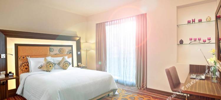 浦那纳加尔路诺富特酒店(Novotel Pune Nagar Road)图片