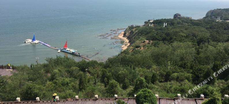 葫芦岛晶晶日租公寓图片