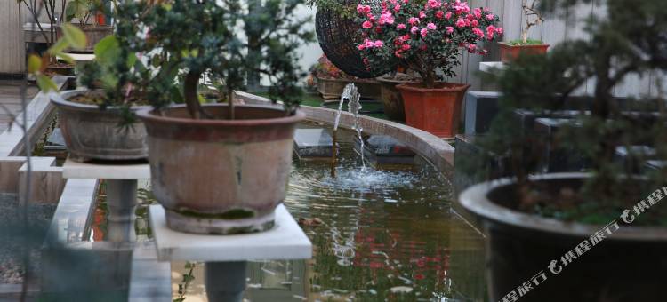 镇安正和假日酒店图片