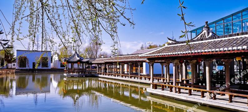 临沂观唐温泉(国际)度假村图片