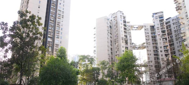 重庆夫人爱吃鱼公寓(2号店)图片