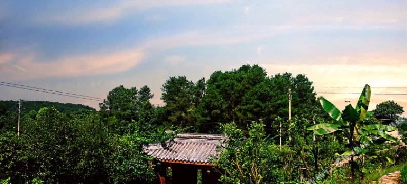 重庆可食的景花境院子图片