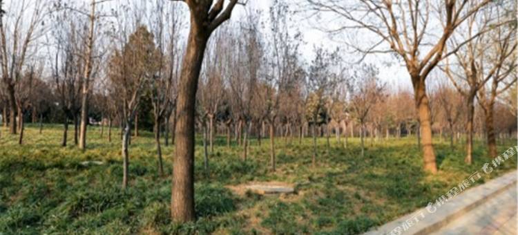 周口乙龙酒店公寓图片