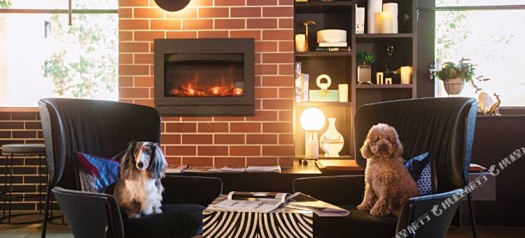 扎加梅屋旅馆(Zagame's House)图片