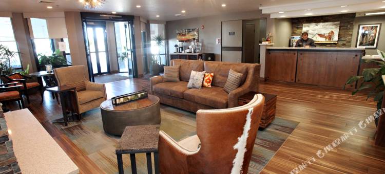 木棉树贝斯特韦斯特优质酒店(Best Western Plus CottonTree Inn)图片