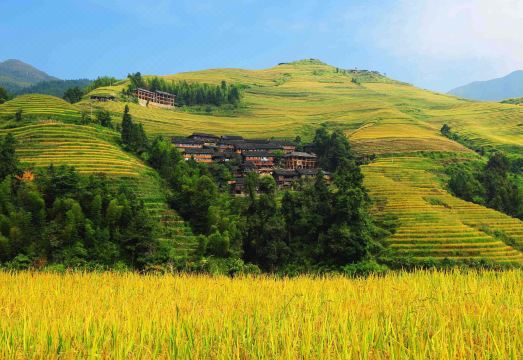 Longsheng terrace Lvyuanchun hotel Hotel Overview