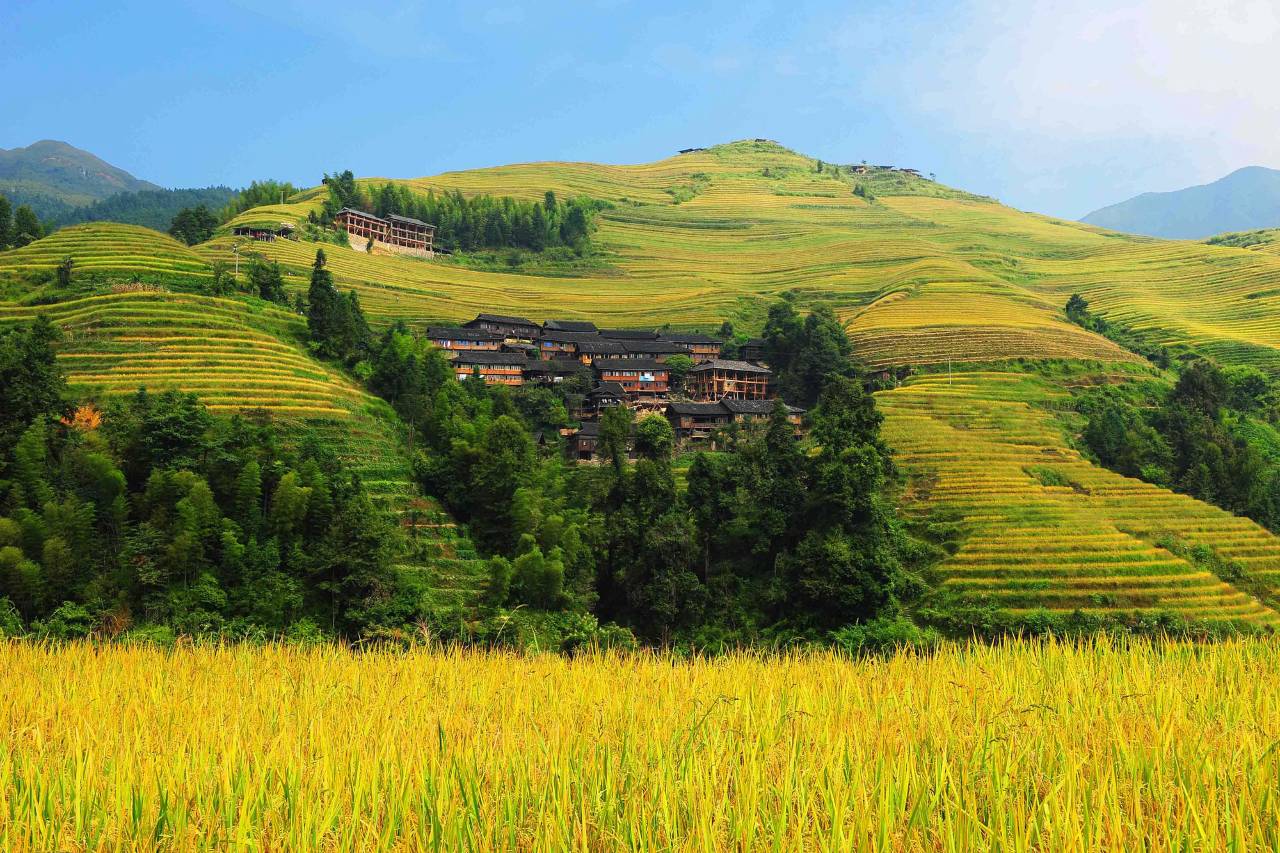 龙脊梯田晨云轩·云端泳池全景酒店(金佛顶三号观景台店)图片