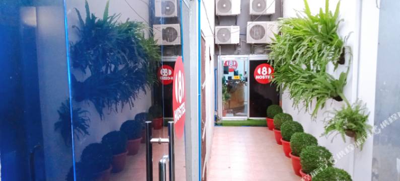 8青年旅馆(8Hostel)图片