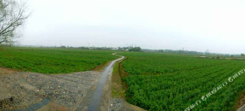 黟县万松林农家客栈图片