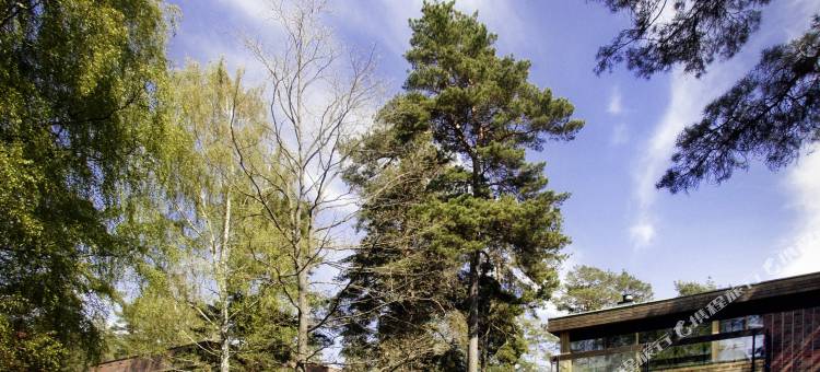 兰塔普斯托酒店(Hotel Rantapuisto)图片