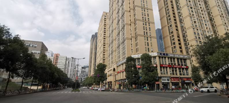 成都凤栖桐精品酒店(世纪城新会展中心店)图片