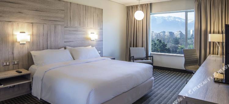 圣地亚哥维塔库拉铂尔曼酒店(Pullman Santiago Vitacura)图片