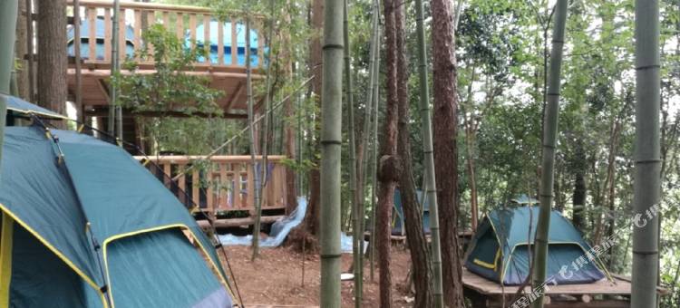 石柱松鼠闹林康养农庄图片