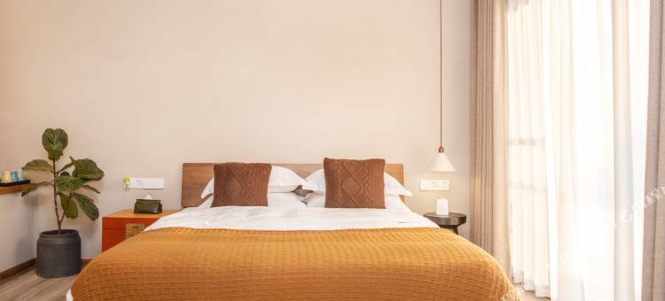 霞浦草木人茶宿图片