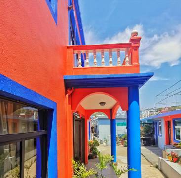 嵊泗枸杞岛八号花园民宿