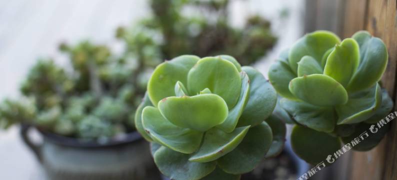 海韵居海景民宿图片