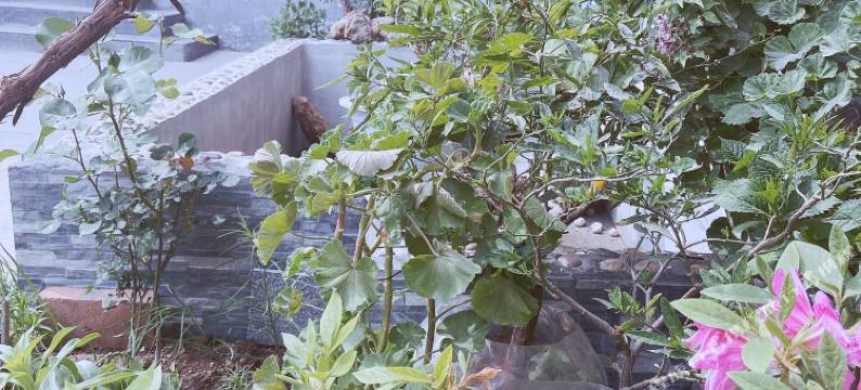 白云山怡心园农家乐图片