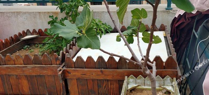 烟台大溪地养马岛轰趴 烧烤赶海公寓图片