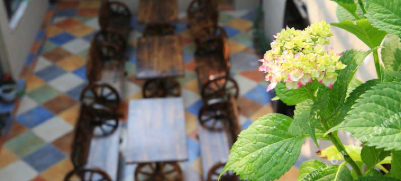 北京晨曦小筑民俗客栈图片