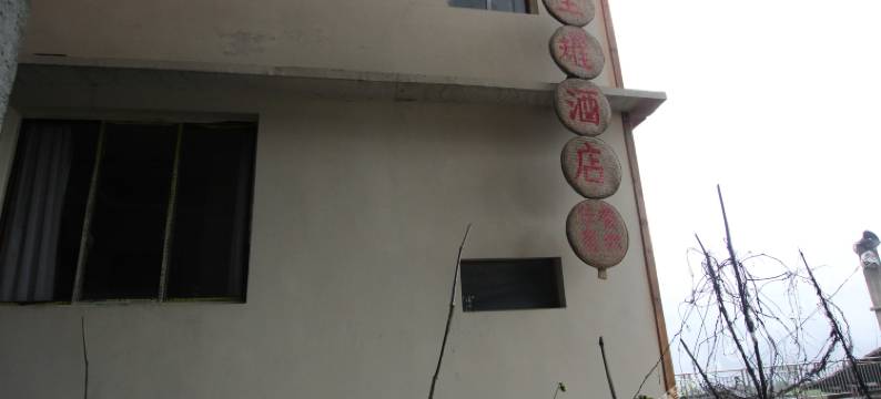 龙脊梯田星耀酒店图片