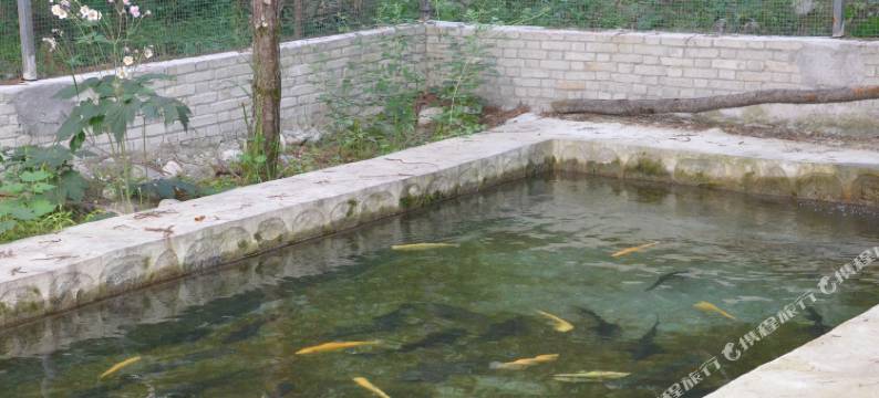 黄柏塬红河山庄图片