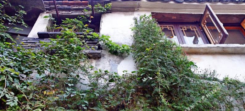 乌镇弄堂小院民宿图片