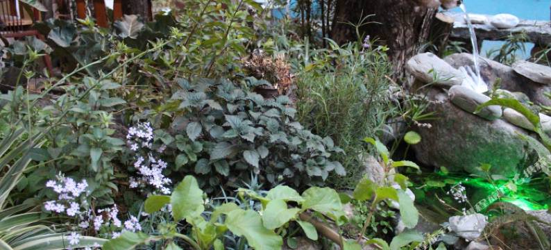 大理古城湾流·苍海间逸栈图片