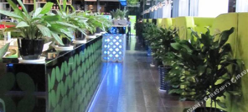 合肥橄榄酒店图片