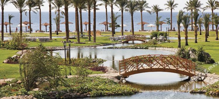 塔巴瑞享酒店(Mövenpick Taba)图片