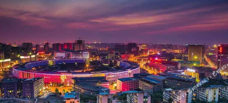 和颐至尚酒店(济南齐鲁软件园汉峪金谷店)图片