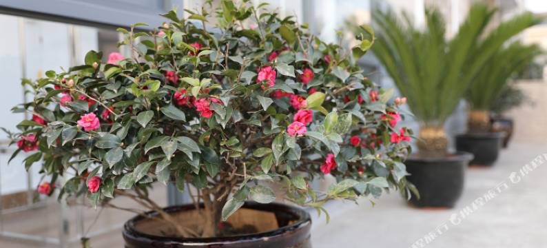 上海小时光主题客栈图片