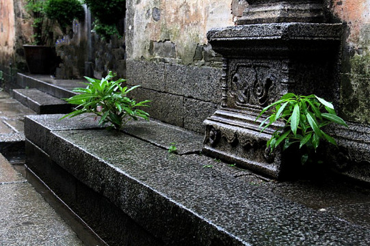 Huangshan ShouShanRuZong Hotel Over view