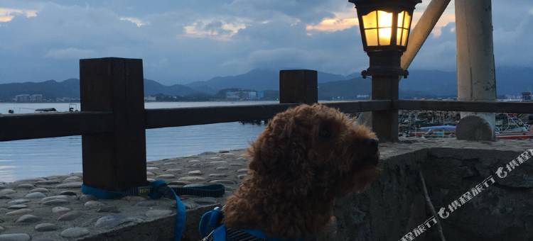 观海居民宿图片
