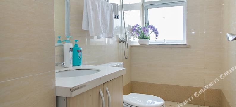 西安艾丽斯公寓酒店图片