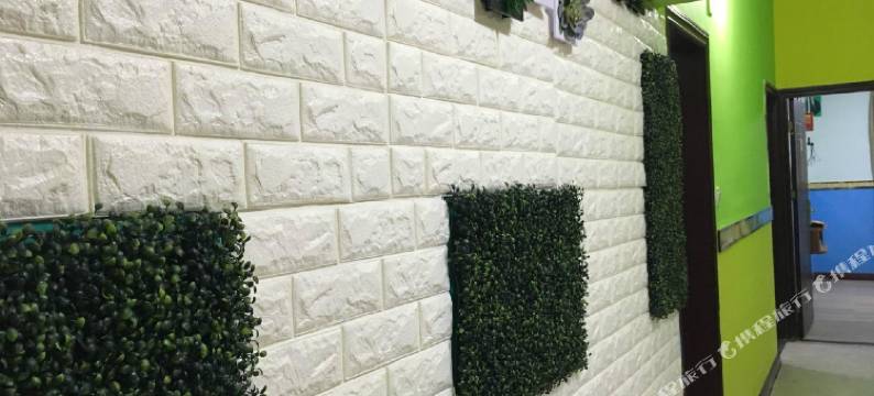 珠海风情公寓图片