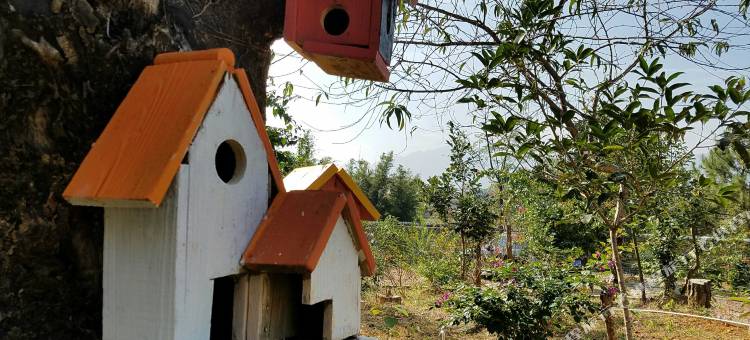 随缘福客栈图片