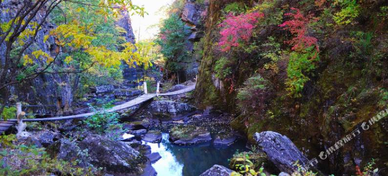 逊克华隆宾馆图片