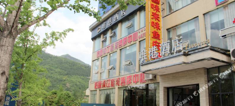 剑阁唯港酒店图片