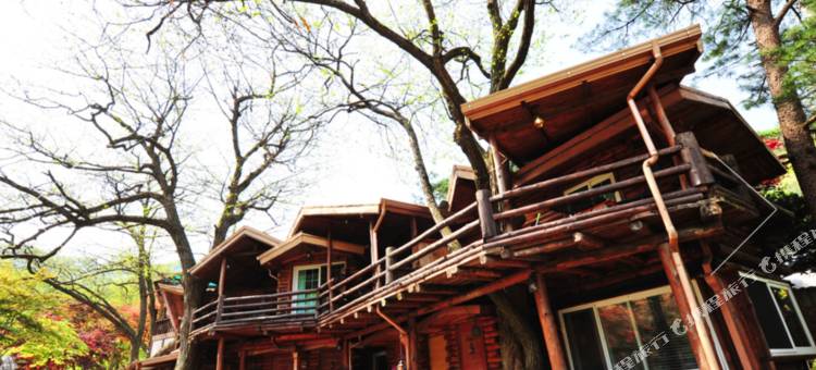 加平贝利塔溪谷旅馆(Gapyeong Belita Pension)图片