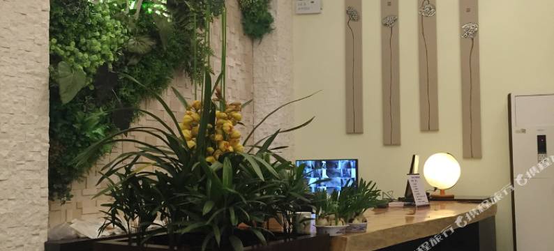 松阳胡同7号精品酒店图片