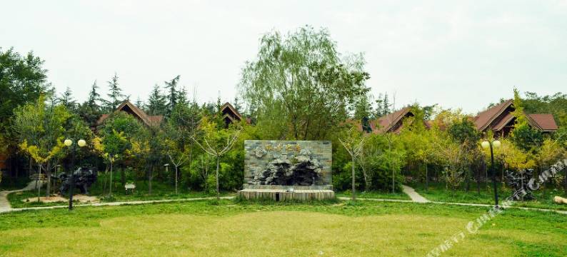 洛阳银杏仙庄图片