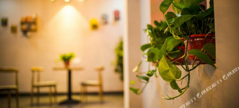 株洲北纬26°酒店图片