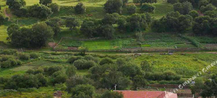 坝上草原萍英农家院图片